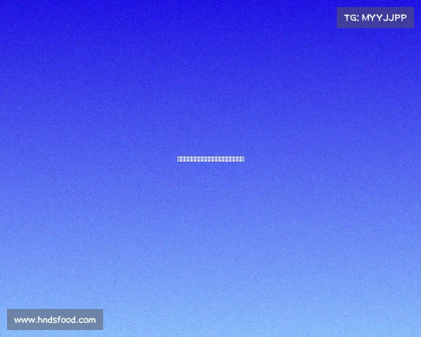 网球比赛技术评分体系分析与评估方法探讨